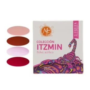Acrílicos de 4 pz Alebrijes Itzmin