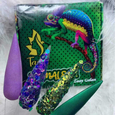 Acrílicos de 4 pz Tania Camaleón